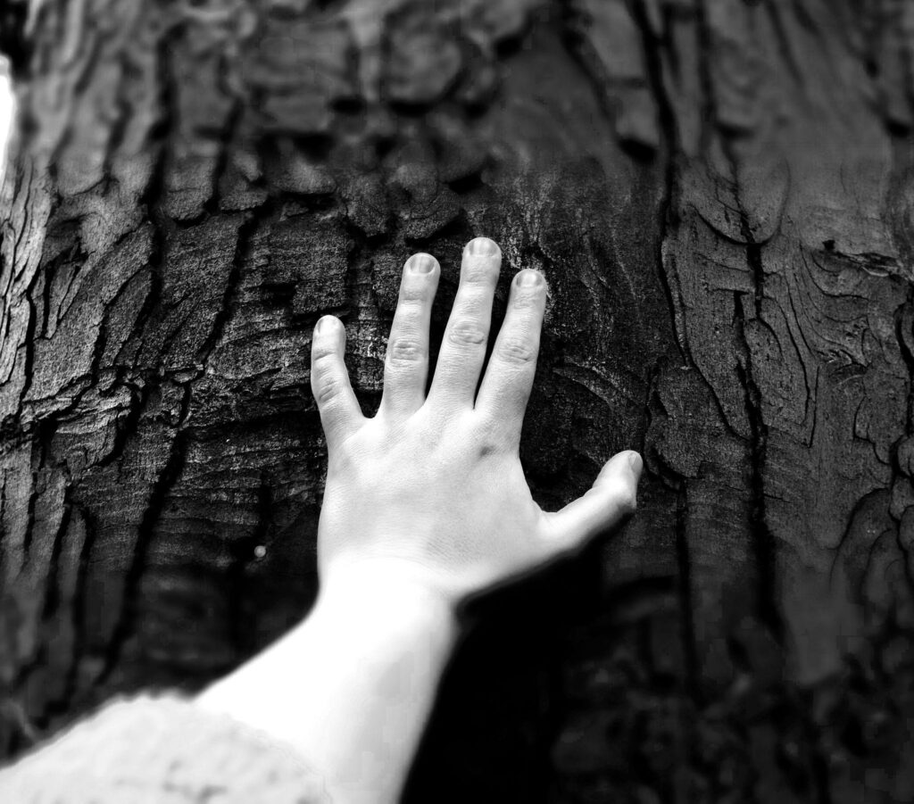 Accompagnements